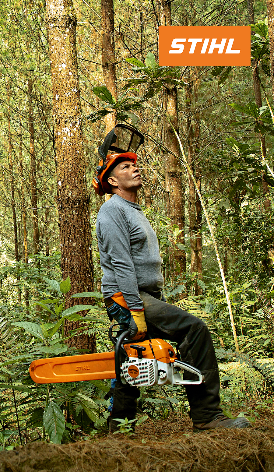 STIHL - Comeca